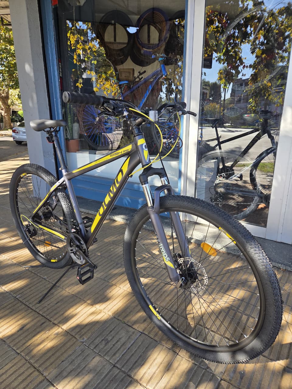 Olmo-Amarillo y Negro