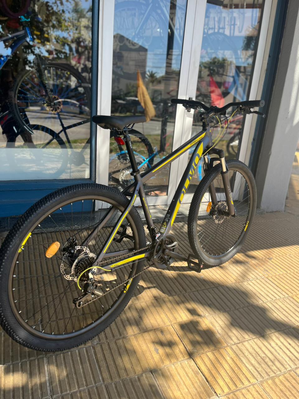 Olmo Wish 29